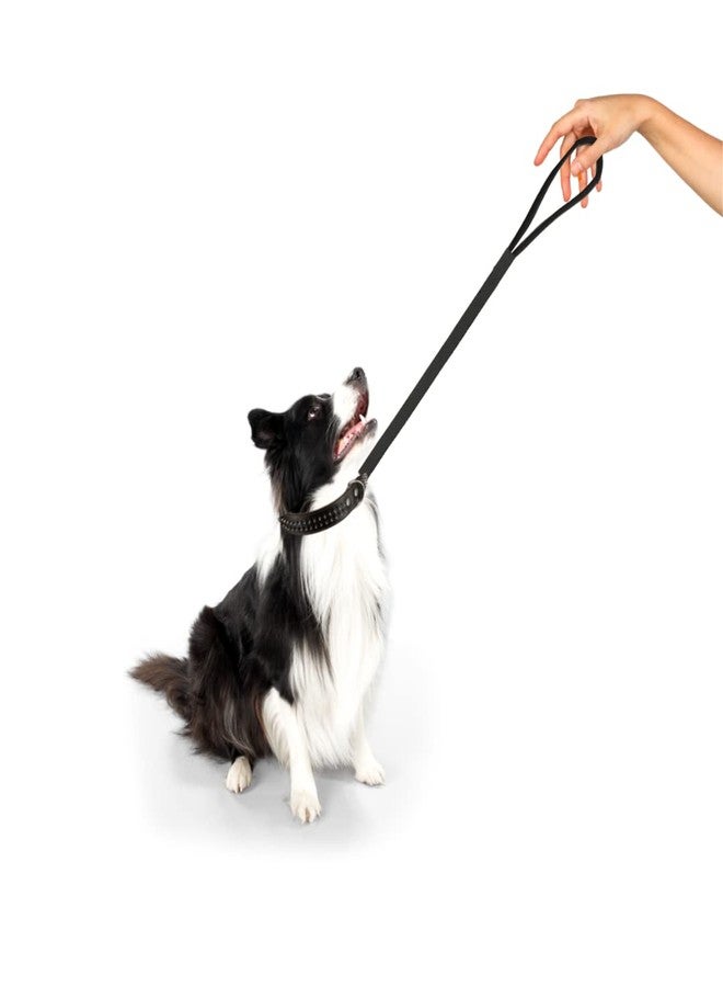 تريكسي: - مقود كلاسيكي | مقود كلاب نايلون قابل للتعديل مع خطافات من الفولاذ المقاوم للصدأ | حلقة مبطنة توفر قبضة مريحة - (15 مم/4 أقدام، XS-S) أسود - Image 4